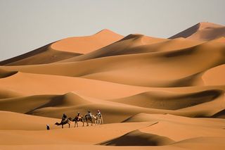 Sahara