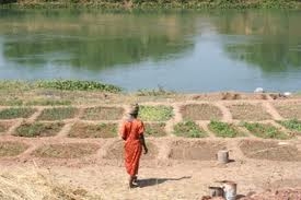 Femmes changement climatique