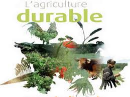 AGRI DURABLE