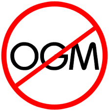 Ogm